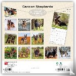 Browntrout - German Shepherds 2027 12 X 24 Inch (Hanging) Monthly Square Wall Calendar Plastic-Free