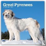 Browntrout - Great Pyrenees 2027 12 X 24 Inch (Hanging) Monthly Square Wall Calendar Plastic-Free