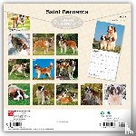 BrownTrout - Saint Bernards | 2027 12 x 24 Inch (Hanging) Monthly Square Wall Calendar | Plastic-Free | BrownTrout | Animals Dog Breeds