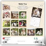 Browntrout - Shih Tzu 2027 12 X 24 Inch (Hanging) Monthly Square Wall Calendar Plastic-Free