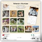 Browntrout - Siberian Huskies 2027 12 X 24 Inch (Hanging) Monthly Square Wall Calendar Plastic-Free