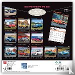 Browntrout - Camaro Official 2027 12 X 24 Inch (Hanging) Monthly Square Wall Calendar Plastic-Free