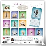 Browntrout - Yoga Cats Official 2027 12 X 24 Inch (Hanging) Monthly Square Wall Calendar Plastic-Free