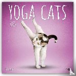 Publishers, Browntrout - Yoga Cats - Katzen Yoga 2027 - 16-Monatskalender