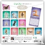Browntrout - Yoga Dogs Official 2027 12 X 24 Inch (Hanging) Monthly Square Wall Calendar Plastic-Free