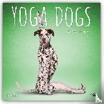 Browntrout - Yoga Dogs Official 2027 12 X 24 Inch (Hanging) Monthly Square Wall Calendar Plastic-Free