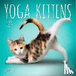 Browntrout - Yoga Kittens Official 2027 7 X 14 Inch (Hanging) Monthly Mini Wall Calendar