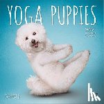 Browntrout - Yoga Puppies Official 2027 7 X 14 Inch (Hanging) Monthly Mini Wall Calendar