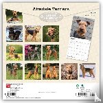 Browntrout - Airedale Terriers 2027 12 X 24 Inch (Hanging) Monthly Square Wall Calendar Plastic-Free
