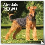 Browntrout - Airedale Terriers 2027 12 X 24 Inch (Hanging) Monthly Square Wall Calendar Plastic-Free