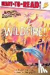 Bauer, Marion Dane - Wildfire!: Ready-To-Read Level 1