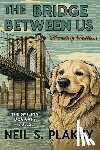 Plakcy, Neil S. - The Bridge Between Us: Healing Fiction