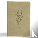 Holman Bible Publishers - KJV Thinline Bible, Sage Suedesoft Leathertouch