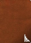 Holman Bible Publishers - NASB Study Bible, Burnt Sienna Leathertouch