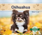 Hansen, Grace - Chihuahuas (Spanish Version)