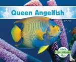 Murray, Julie - Queen Angelfish