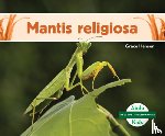Hansen, Grace - Mantis Religiosa (Praying Mantis)