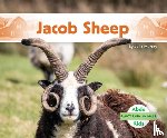 Murray, Julie - Jacob Sheep