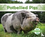 Murray, Julie - Potbellied Pigs
