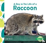 Murray, Julie - Day in the Life of a Raccoon