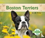 Murray, Julie - Boston Terriers