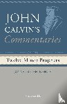 Calvin, John - Commentaries on the Twelve Minor Prophets, Volume 3