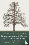 Christman, Bryan M. - Encountering Mark's Gospel with Soren Kierkegaard