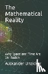 Unzicker, Alexander - The Mathematical Reality