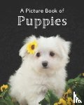 A Bee's Life Press - A Picture Book of Puppies