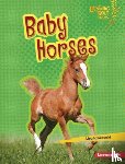 Idzikowski, Lisa - Baby Horses