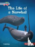 Peters, Katie - The Life of a Narwhal