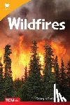 Beth, Georgia - Wildfires
