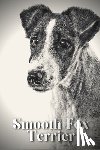 Pustova, Nina - Smooth Fox Terrier: Dog breed overview and guide