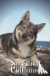 Pustova, Nina - Swedish Vallhund