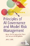 Sayles, James - Principles of AI Governance and Model Risk Management