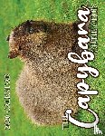 Patrick, B. - The Capybara Cutie Club 2026 Calendar
