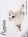Patrick, B. - Puppies 2026 Calendar