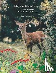 Ellis, Lori Klisman - Fairy the Friendly Fawn: From Rescue to Rehabilitation to Release