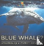 Baby - Have You Ever Seen A Blue Whale? Animal Book Age 4 | Children's Animal Books