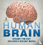 Baby - The Human Brain - Biology for Kids | Children's Biology Books