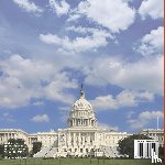 Baby - What Does the US President Do? Government Lessons for Kids | Children's Government Books