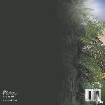 Baby - Why Are The T-Rex's Forearms So Small? Everything about Dinosaurs - Animal Book 6 Year Old | Children's Animal Books