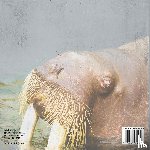 Baby - What are Mammals? Animal Book for 2nd Grade | Children's Animal Books