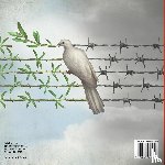 Baby - The Unofficial Christmas Truce of 1914 - History of the World | Children's Military Books