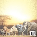 Baby - Mammals of the African Savanna - Animal Book 2nd Grade | Children's Animal Books