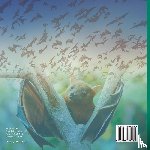 Baby - How Does Echolocation Work? Science Book 4th Grade | Children's Science & Nature Books