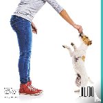 Pets Unchained - How To Train My Puppy! | Puppy Care Book for Kids | Children's Dog Books