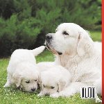 Pets Unchained - Big Dogs & Puppy Facts for Kids | Dogs Book for Children | Children's Dog Books