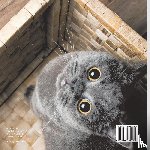 Pets Unchained - Here Kitty! Kitty! | Fun Facts Cats Book for Kids | Children's Cat Books