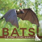 Baby - BATS! The Only Flying Mammals | Bats for Kids | Children's Mammal Books